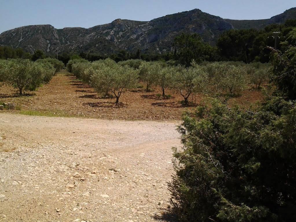Le Mas Des Genets Saint-Rémy-de-Provence Eksteriør bilde