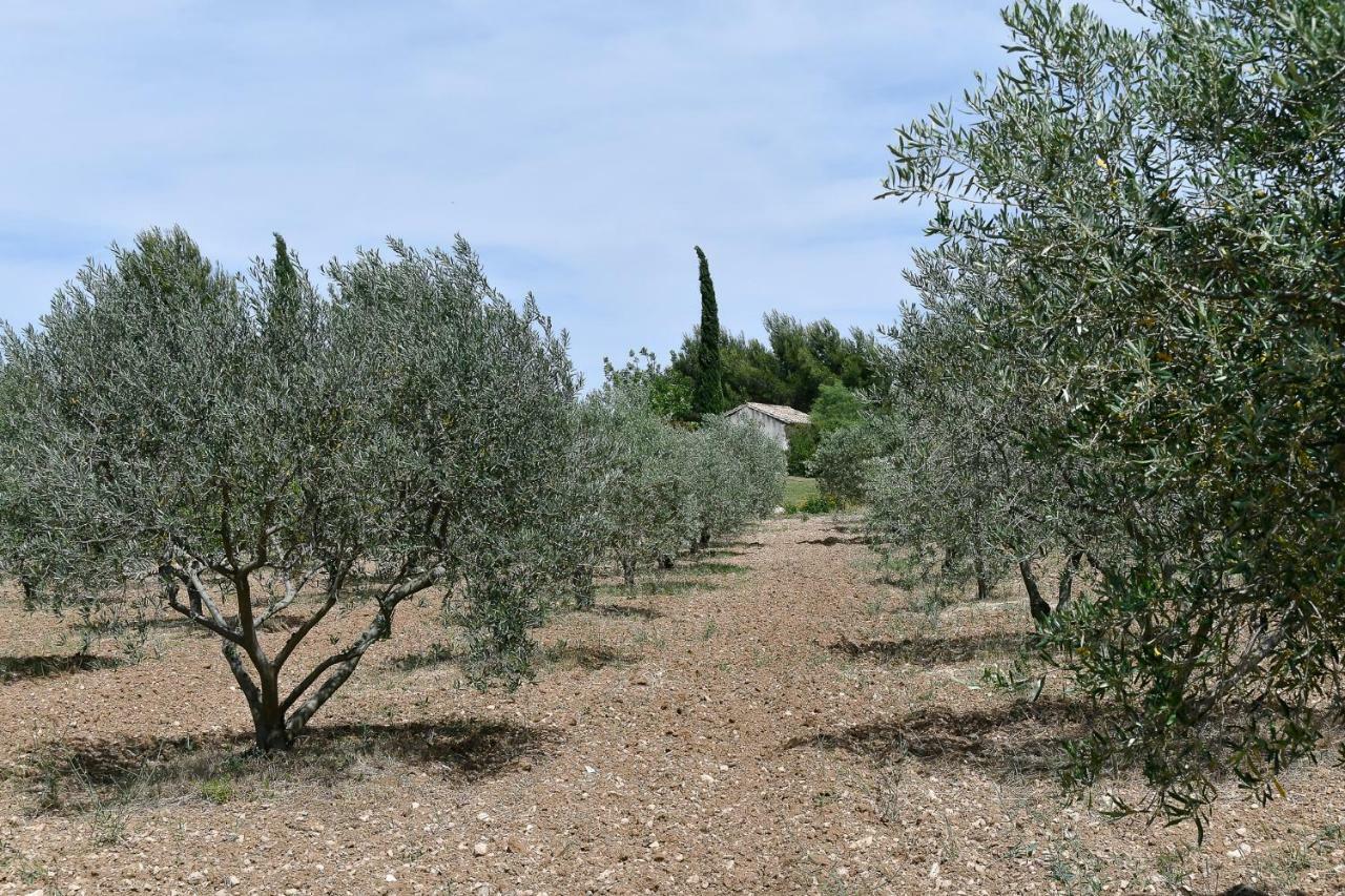 Le Mas Des Genets Saint-Rémy-de-Provence Eksteriør bilde